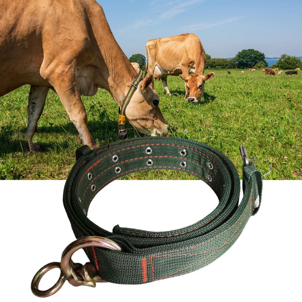 Large Dogs Collar  Four-layer Nylon   Cattle Collar Cattle Ropes Dog Head Collar
